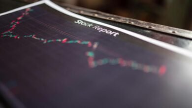 data insights summary report