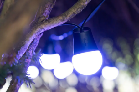 Glow Without Limits: A Simple Guide to Reliable Outdoor LED Lighting